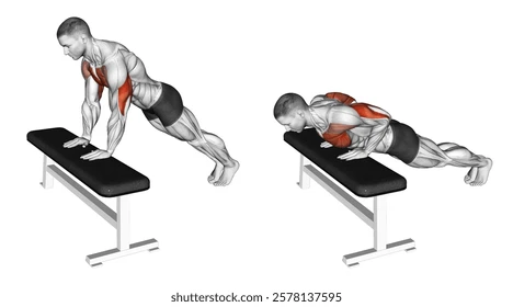 [incline-pushup.png]